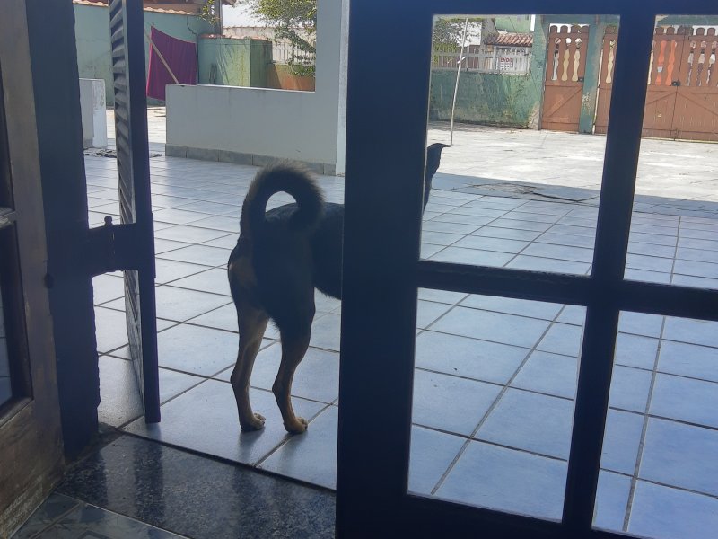 Casa à venda Jamaica - Praia com 350m² e 5 quartos por R$ 450.000 - 103875328-img-20211030-131322733-hdr.jpg