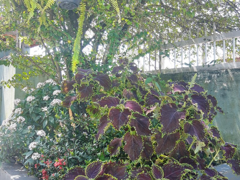 Casa à venda Jamaica - Praia com 350m² e 5 quartos por R$ 450.000 - 969310280-img-20211030-131543248-hdr.jpg