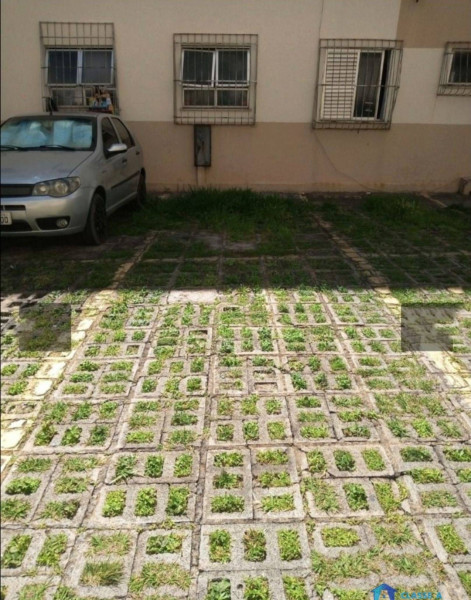 Apartamento à venda Joao Pinheiro com 52m² e 2 quartos por R$ 180.000 - 291366214-screenshot-2022-11-16-19-59-31-324-edit-com.jpg