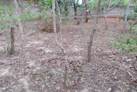 Terreno à venda Chácara Flórida com 2000m² - 1 dormitório -  vagas - R$ 390.000 - 1320232963-img-20210930-wa0092.jpg