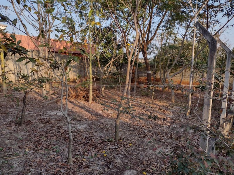 Terreno à venda Chácara Flórida com 2000m² e 1 quarto por R$ 390.000 - 936029505-img-20210812-wa0061.jpg