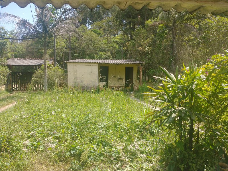 Chácara à venda Chácara Rancho Fundo com 2m² e 4 quartos por R$ 300.000 - 1024413426-img-20211117-135710523.jpg