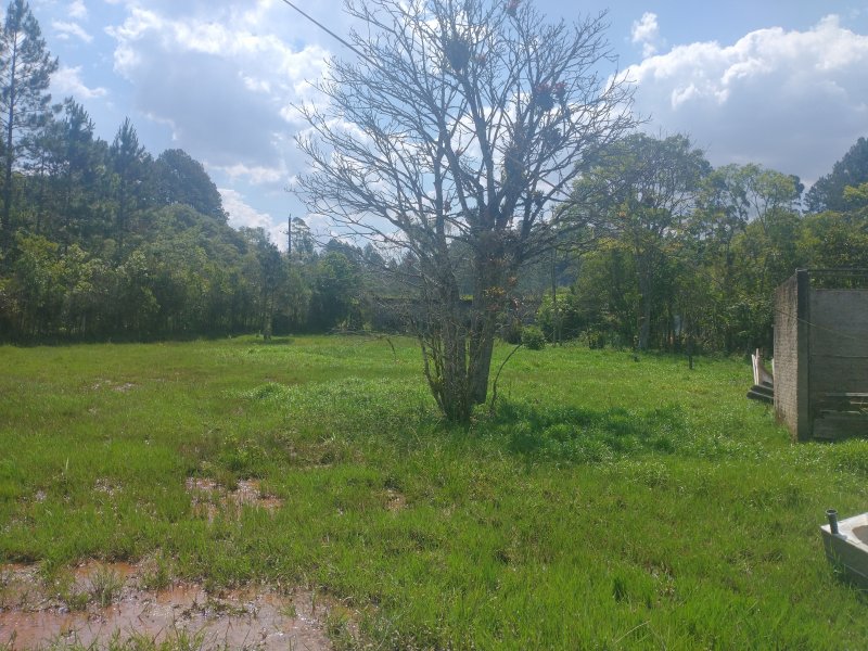 Chácara à venda Chácara Rancho Fundo com 2m² e 4 quartos por R$ 300.000 - 1454923926-img-20211117-135752087.jpg