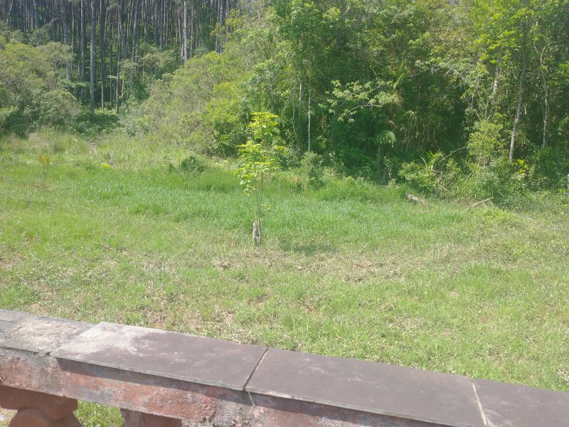 Chácara à venda Chácara Rancho Fundo com 2m² e 4 quartos por R$ 300.000 - 1461677708-img-20211117-135801181.jpg