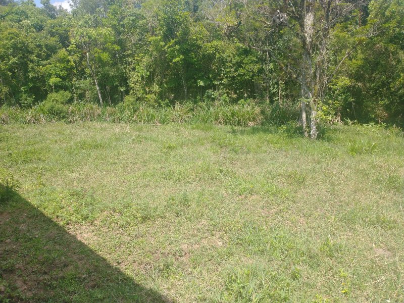 Chácara à venda Chácara Rancho Fundo com 2m² e 4 quartos por R$ 300.000 - 308444843-img-20211117-135722508.jpg