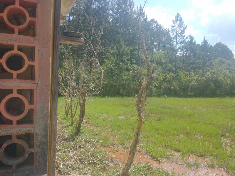 Chácara à venda Chácara Rancho Fundo com 2m² e 4 quartos por R$ 300.000 - 392902118-img-20211117-135756124.jpg