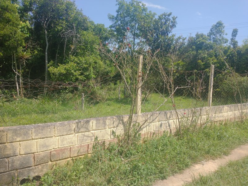 Chácara à venda Chácara Rancho Fundo com 2m² e 4 quartos por R$ 300.000 - 930509548-img-20211117-135715873.jpg