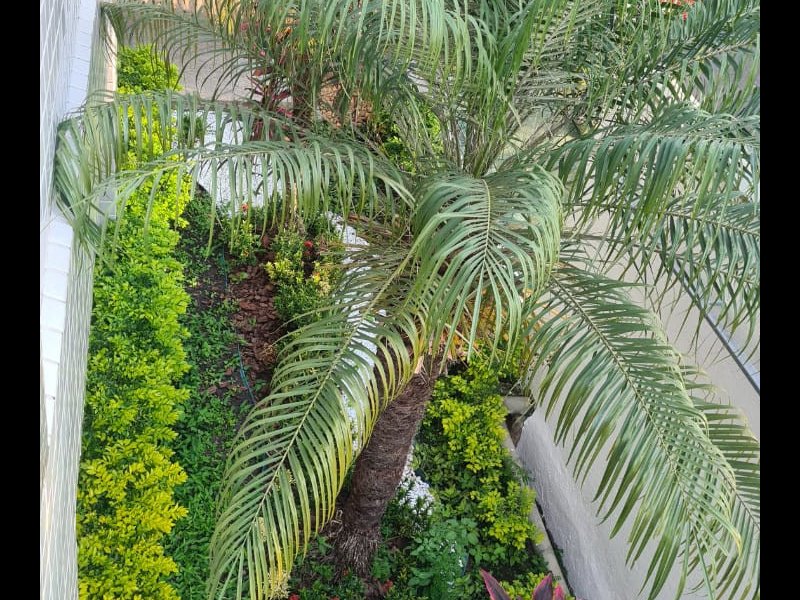 Apartamento à venda Dona Clara com 140m² e 3 quartos por R$ 840.000 - 1854371570-whatsapp-image-2021-07-08-at-21.jpeg