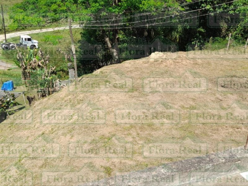 imóvel com 1750m² - Cururuquara - Santana de Parnaiba