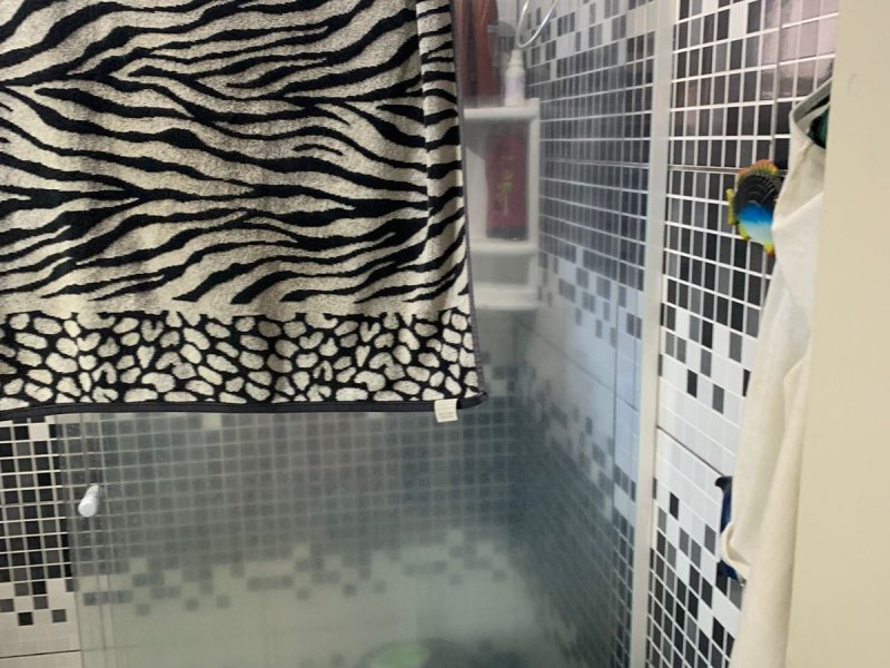 Sítio à venda Centro com 300m² e 3 quartos por R$ 250.000 - 1843079584-whatsapp-image-2021-11-20-at-09.jpeg