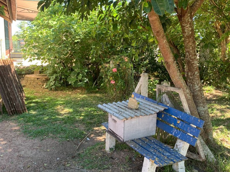 Sítio à venda Centro com 300m² e 3 quartos por R$ 250.000 - 464747772-whatsapp-image-2021-11-20-at-09.jpeg