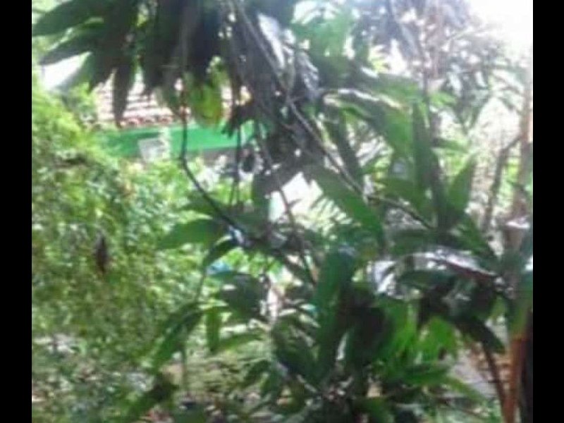 Casa à venda Santo Antônio com 300m² e 1 quarto por R$ 170.000 - 281679335-a35b1189-4202-41ef-9071-1b792e9a4648.jpg