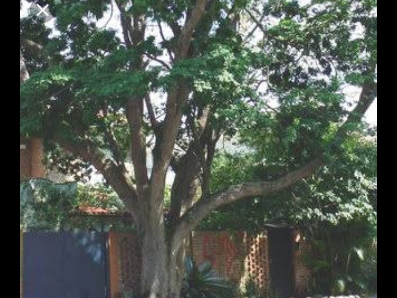 Casa à venda Santo Antônio com 300m² e 1 quarto por R$ 170.000 - 797033157-screenshot-2021-07-26-09-45-45-628-com.jpg