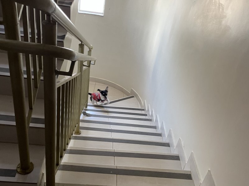 Comercial à venda Setor Leste Vila Nova com 303m² e 1 quarto por R$ 1.550.000 - 1621736279-93b4a32a-3616-436e-a3ac-8f09f3c4fdc1.jpeg