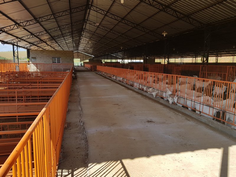 Sítio à venda Centro com 340000m² e 5 quartos por R$ 5.200.000 - 371290043-20180703-1345291.jpg