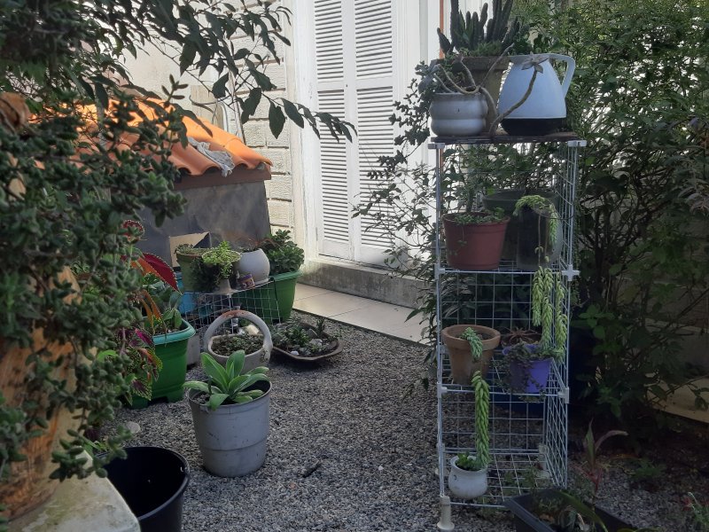 Casa à venda Cassino com 180m² e 5 quartos por R$ 450.000 - 644406971-20210415-140853.jpg