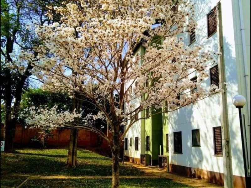 imóvel com 50m² - Medeiros - Jundiaí