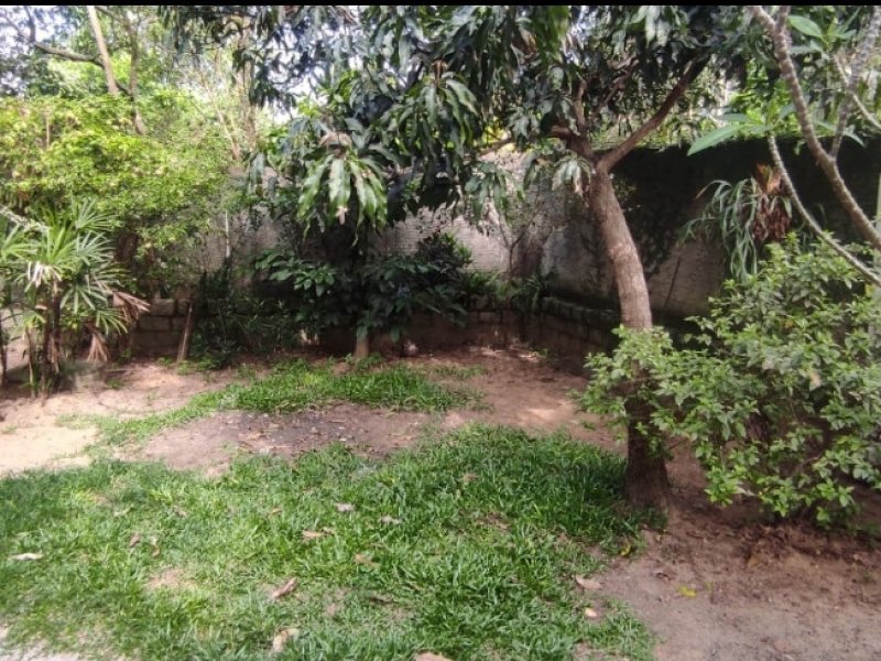 Casa à venda São João do Rio Vermelho com 300m² e 3 quartos por R$ 580.000 - 569282586-screenshot-20211122-193145-whatsappbusiness.jpg