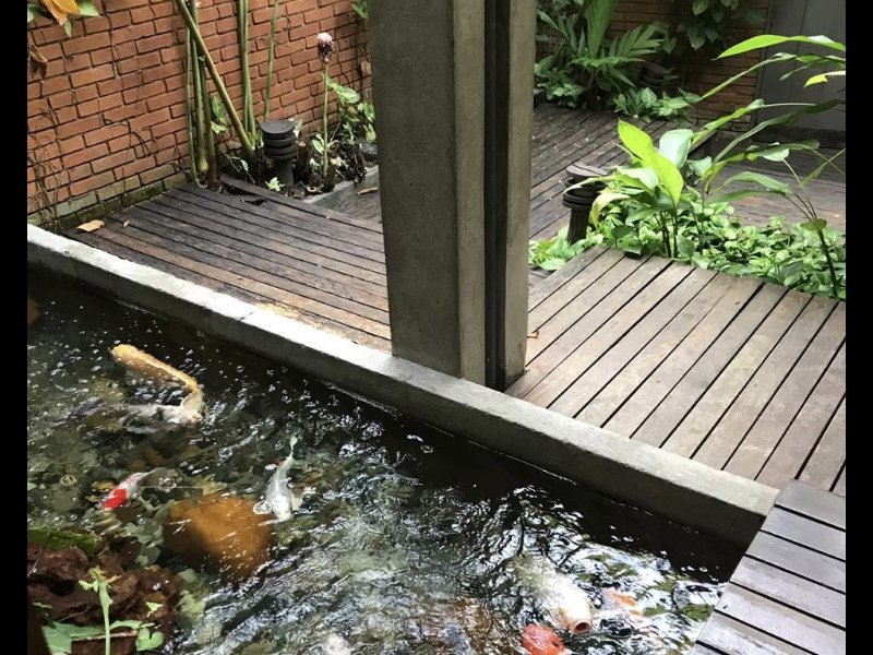 Terreno à venda Morumbi com 822m² e 0 quartos por R$ 3.000.000 - 176235883-27652cfc-05e7-43c4-b520-5a559451db02.jpeg