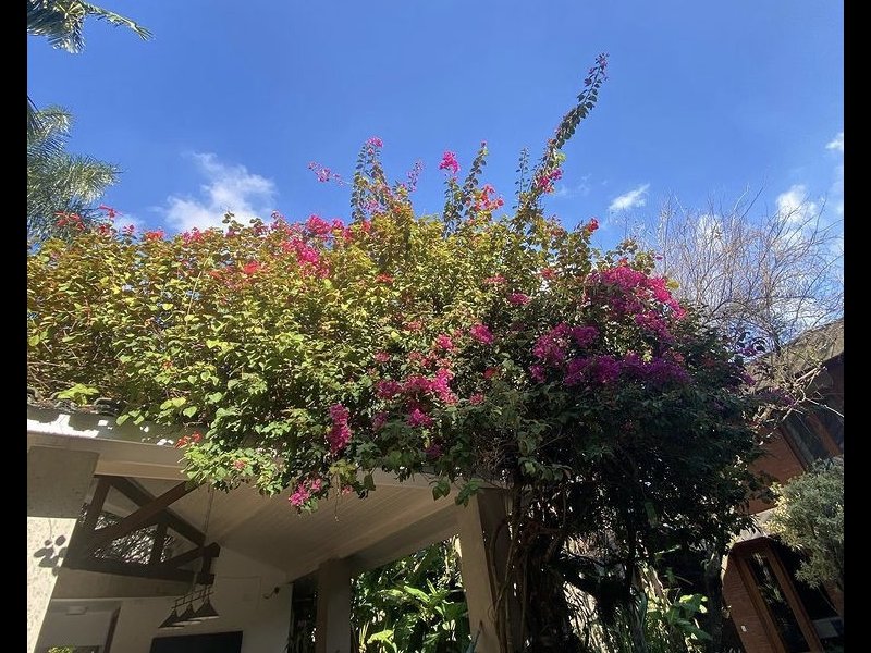 Terreno à venda Morumbi com 822m² e 0 quartos por R$ 3.000.000 - 24459563-94347dc7-2796-4d21-915d-f0a006d1483b.jpeg