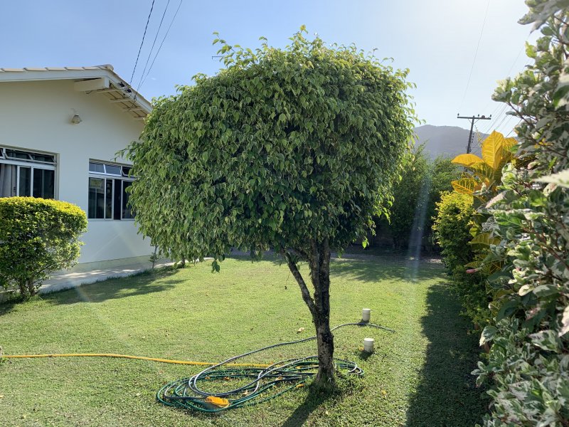 Casa à venda Palmas com 350m² e 4 quartos por R$ 730.000 - 1748882188-3dbe0b52-7c8d-4821-aca8-87523d967976.jpeg