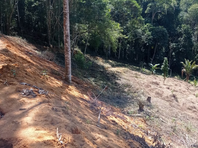 Chácara à venda Suido de baixo com 2750m² e 5 quartos por R$ 150 - 1127055860-img-20210810-105758.jpg