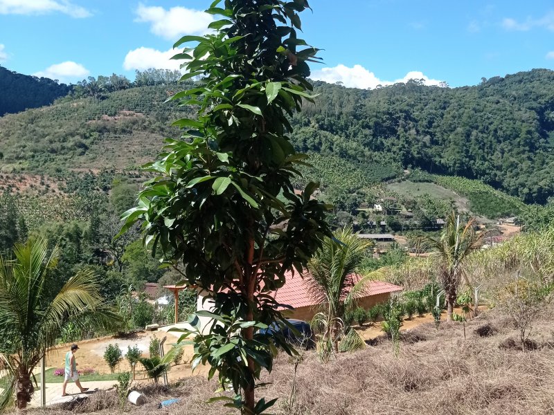 Chácara à venda Suido de baixo com 2750m² e 5 quartos por R$ 150 - 1562856375-img-20210810-110808.jpg