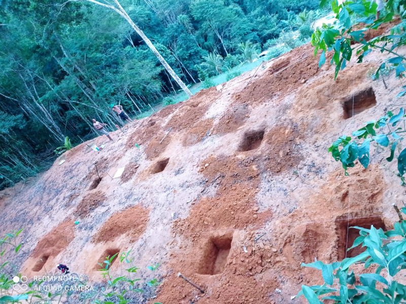 Chácara à venda Suido de baixo com 2750m² e 5 quartos por R$ 150 - 539250819-4b4af22e-7b12-41a0-9361-c300f5f1e5f0.jpg