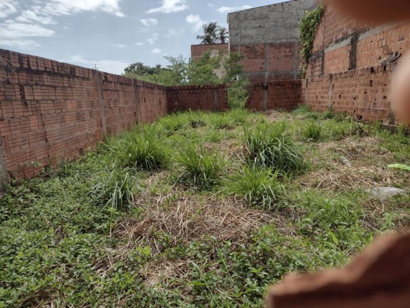 Terreno à venda Centro com 7m² e 1 quarto por R$ 45.000.000 - 297993803-755cc43a-3f90-4664-8b3e-c11aa6c039bd.jpg