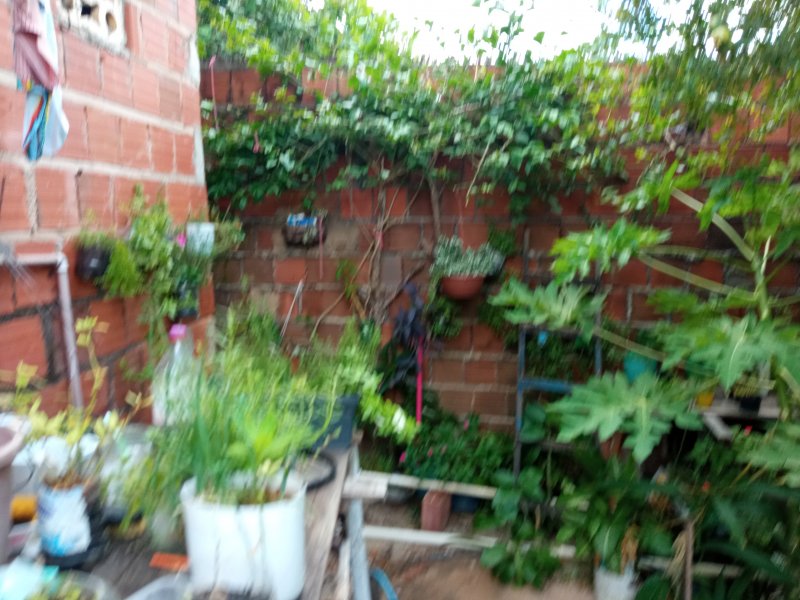 Casa à venda Centro com 100m² e 4 quartos por R$ 250.000 - 1995054608-img-20211127-100951.jpg