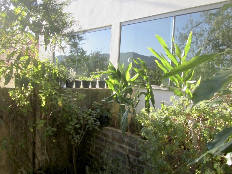 Casa à venda Centro com 254m² e 4 quartos por R$ 550.000 - 1567508072-img-0040.jpg