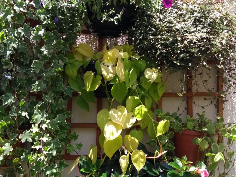 imóvel com 73m² - Jardim Vila Mariana - São Paulo