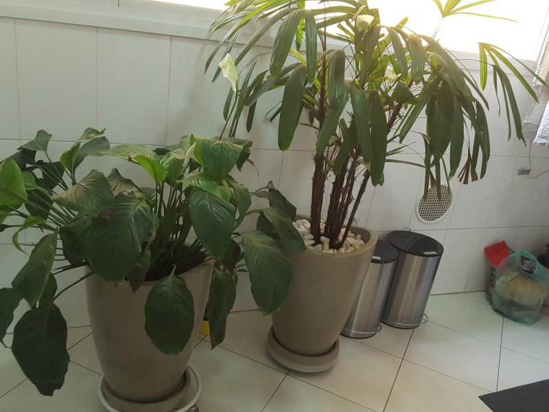imóvel com 84m² - Vila Pompéia - São Paulo