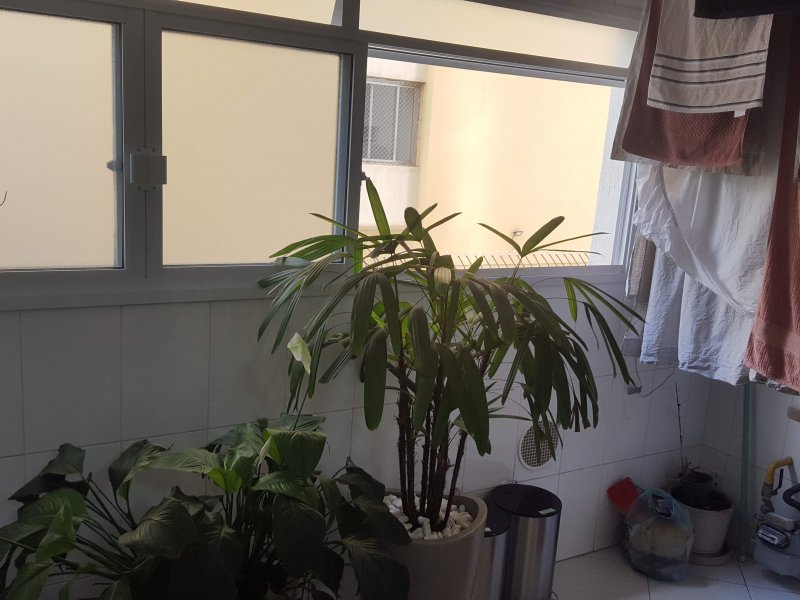 imóvel com 84m² - Vila Pompéia - São Paulo