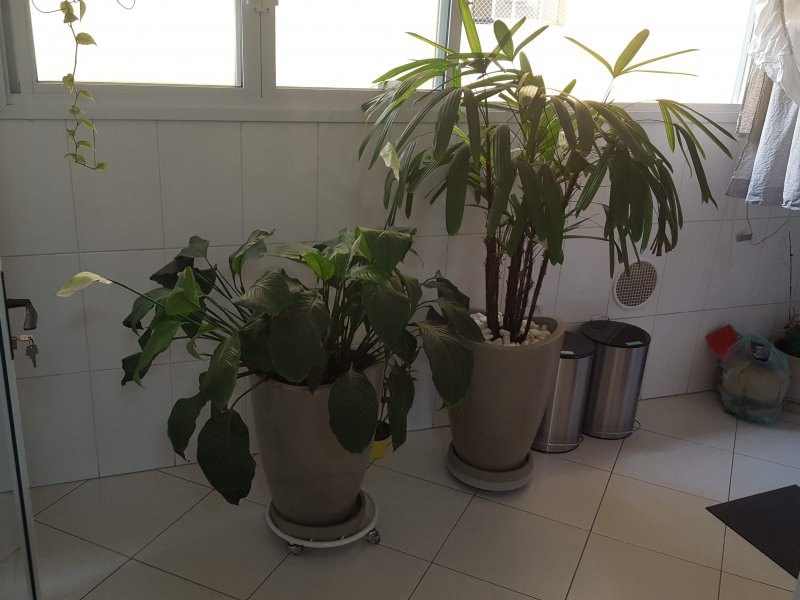 imóvel com 84m² - Vila Pompéia - São Paulo