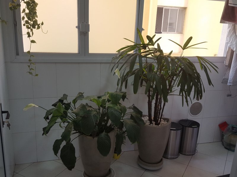 imóvel com 84m² - Vila Pompéia - São Paulo