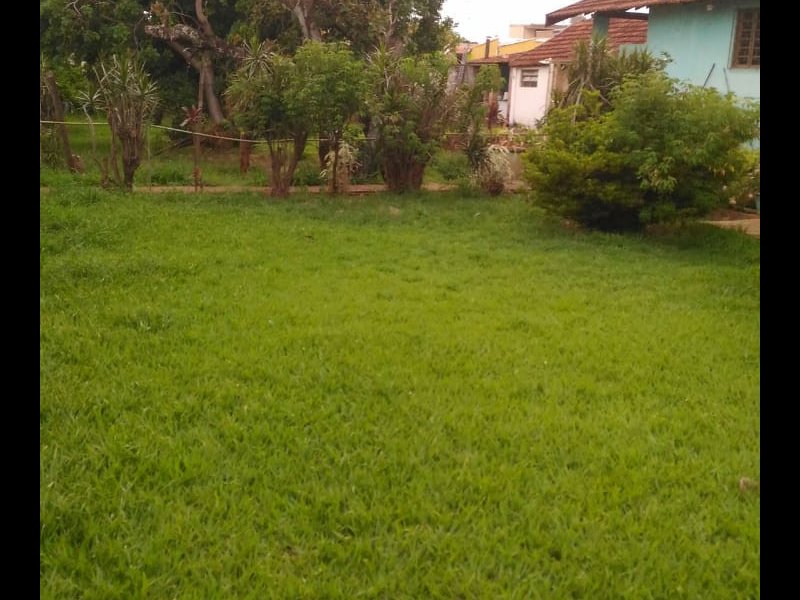 imóvel com 1076m² - Centro - Bebedouro