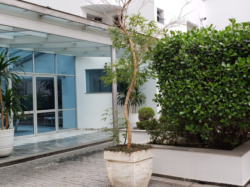 Apartamento para alugar Indianópolis com 143m² e 4 quartos por R$ 5.700 - 652686376-20191024-113820.jpg