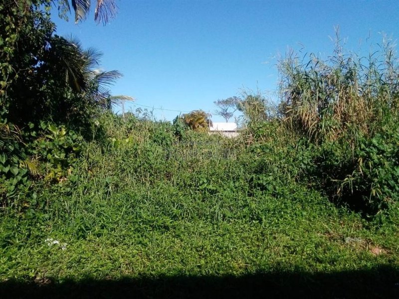 Terreno à venda Jardim Suarão - Praia com 259m² e 1 quarto por R$ 80.000 - 920161008-df650d1f-6c66-480d-a177-95a6b263ae35.jpeg