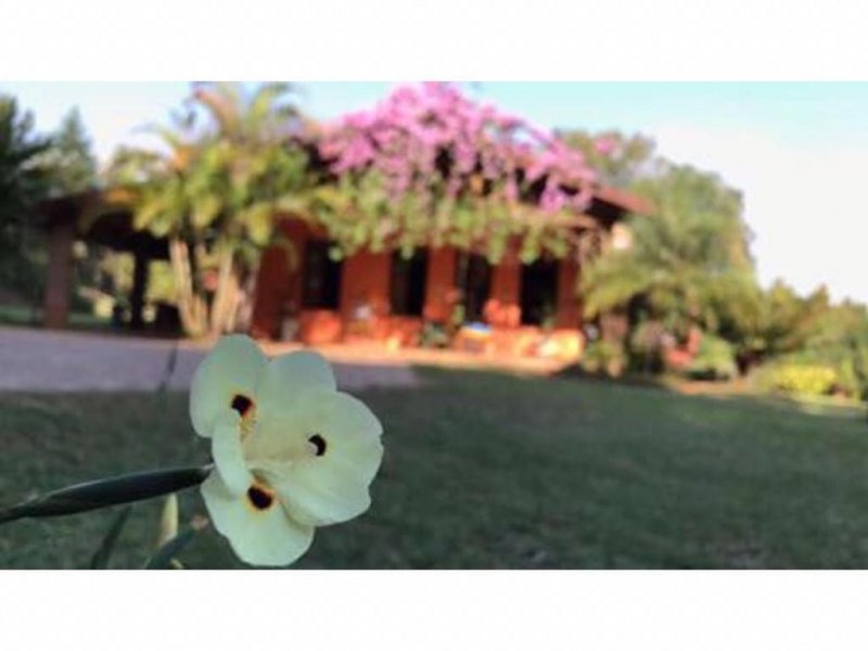 Chácara à venda Morada do Sol com 8900m² e 3 quartos por R$ 2.500.000 - 1004331069-chacara-erica-8.jpeg