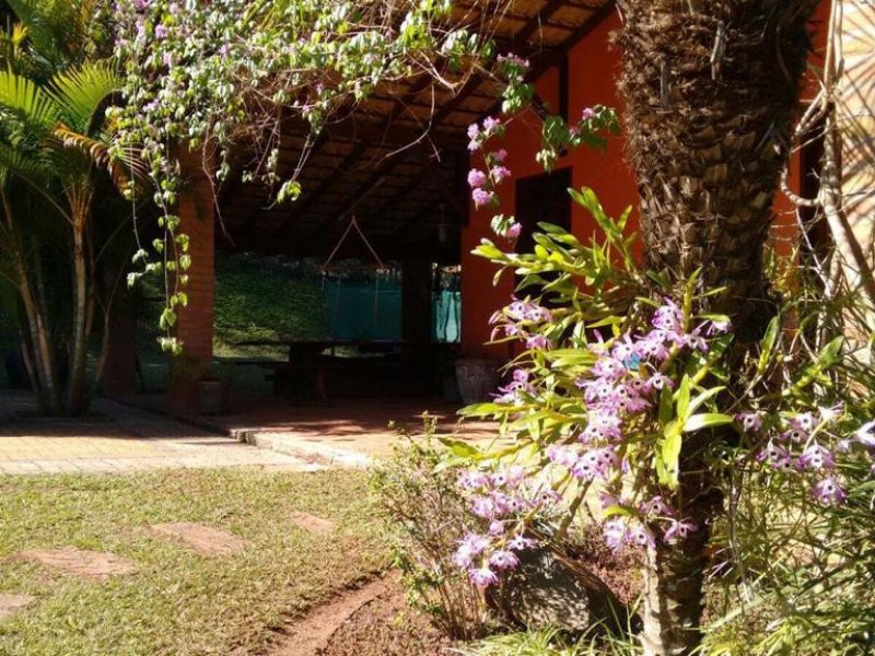 Chácara à venda Morada do Sol com 8900m² e 3 quartos por R$ 2.500.000 - 1384414113-chacara-erica-26.jpeg