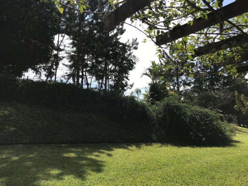 Chácara à venda Morada do Sol com 8900m² e 3 quartos por R$ 2.500.000 - 1445133178-chacara-erica-25.jpeg