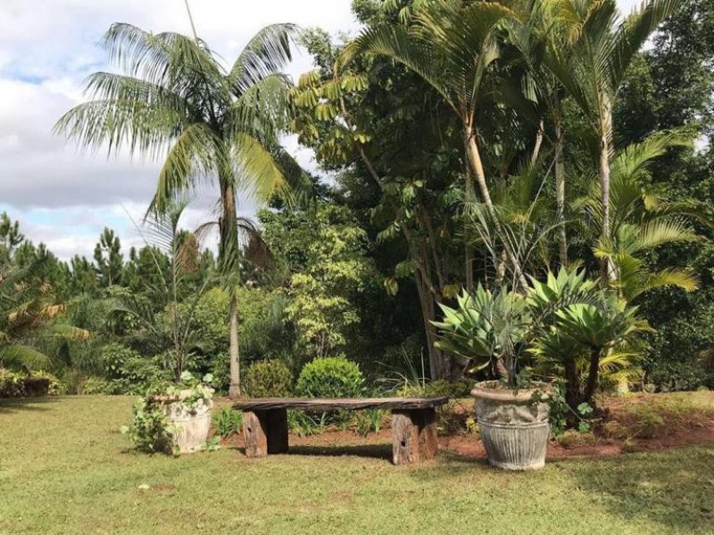 Chácara à venda Morada do Sol com 8900m² e 3 quartos por R$ 2.500.000 - 1613677753-chacara-erica-18.jpeg