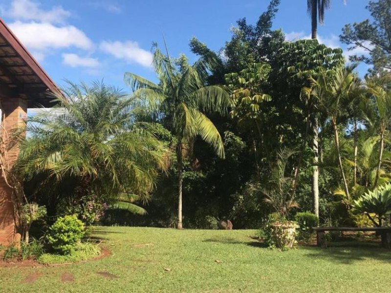Chácara à venda Morada do Sol com 8900m² e 3 quartos por R$ 2.500.000 - 1641544384-chacara-erica-15.jpeg