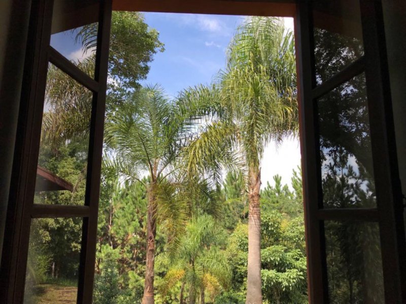 Chácara à venda Morada do Sol com 8900m² e 3 quartos por R$ 2.500.000 - 1725399152-chacara-erica-2.jpeg