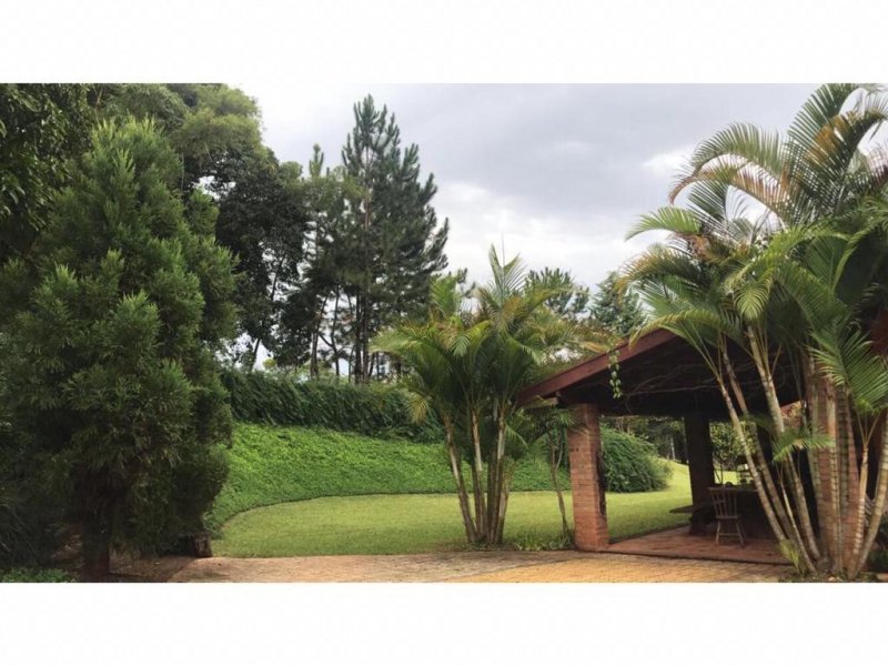 Chácara à venda Morada do Sol com 8900m² e 3 quartos por R$ 2.500.000 - 1773001339-chacara-erica-11.jpeg