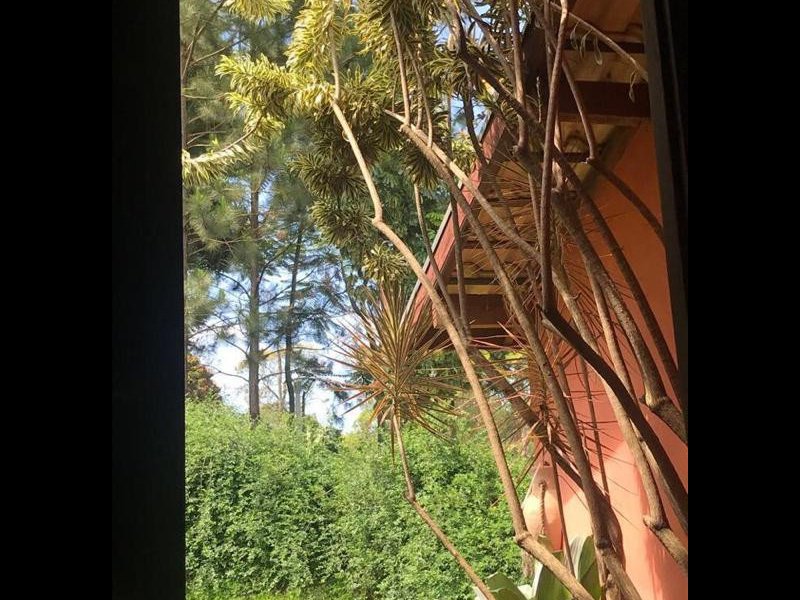 Chácara à venda Morada do Sol com 8900m² e 3 quartos por R$ 2.500.000 - 1990078840-chacara-erica-16.jpeg