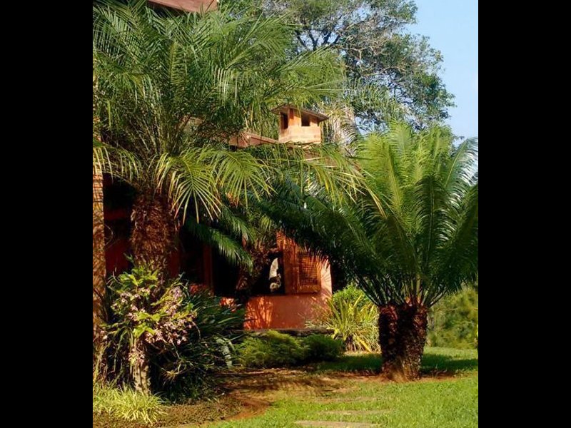 Chácara à venda Morada do Sol com 8900m² e 3 quartos por R$ 2.500.000 - 550278311-chacara-erica-29.jpeg