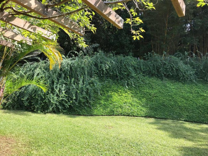 Chácara à venda Morada do Sol com 8900m² e 3 quartos por R$ 2.500.000 - 617630352-chacara-erica-17.jpeg