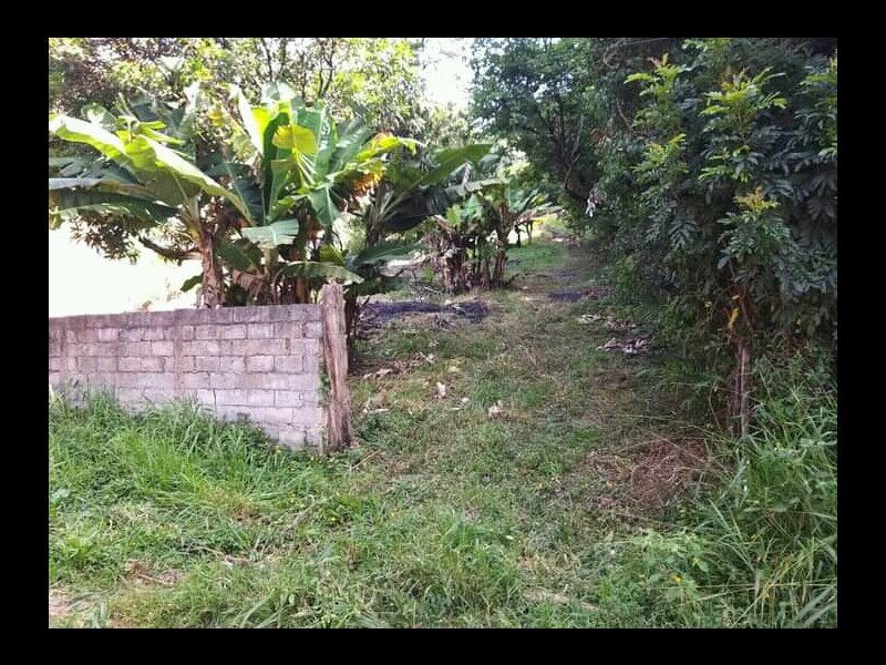 Chácara à venda Centro com 2000m² e 2 quartos por R$ 250.000 - 1407546481-img-20211203-wa0018.jpg